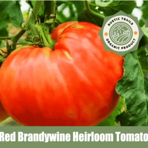 Red Brandywine Heirloom Tomatoes